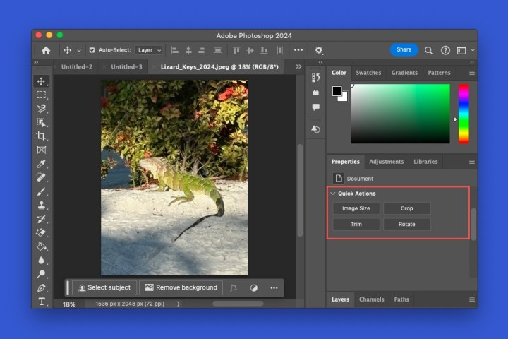 alt: The Quick Actions section in Photoshop provides easy access to common image editing tasks.