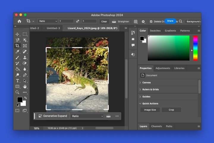 alt: The Crop tool in Photoshop allows users to trim and resize images.