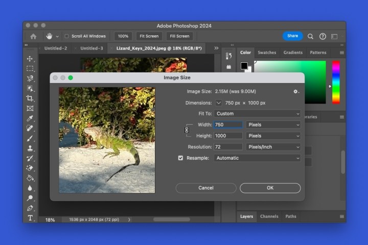 alt: The Image Size dialog box in Photoshop allows users to resize images by specifying new dimensions.