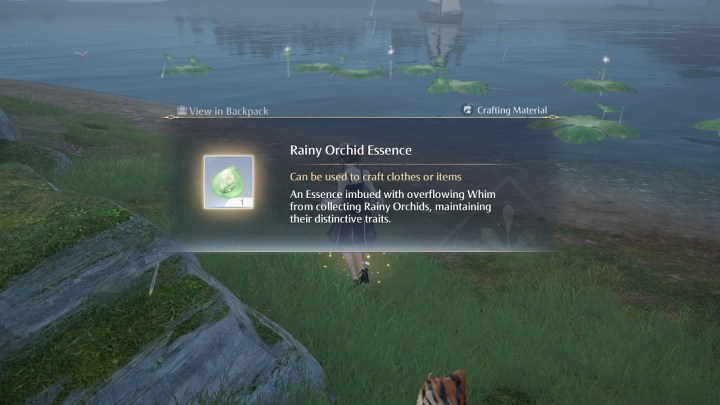 Example of Rainy Orchid Essence.