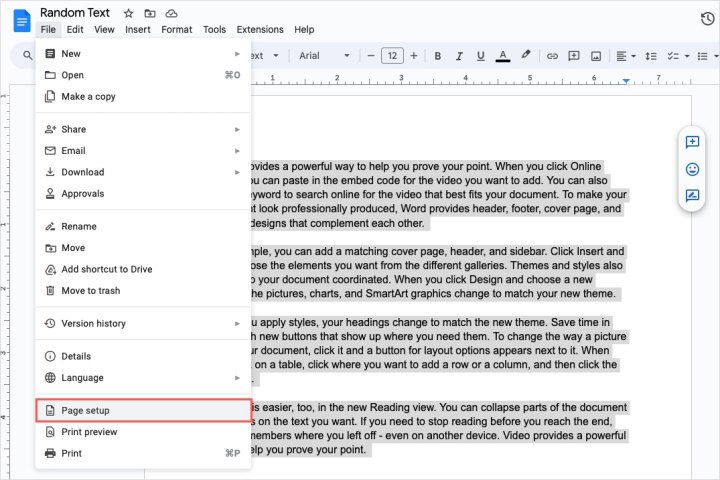 Selected text and Page Setup in the Google Docs File menu.