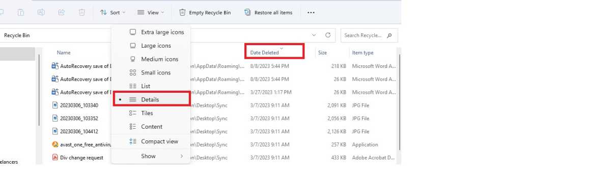 alt: Recycle Bin in Details view showing file information