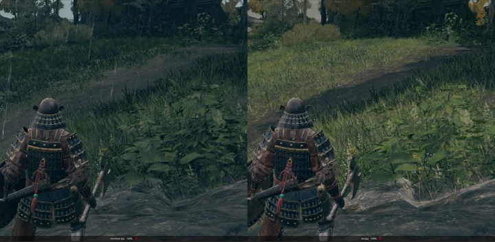 alt text: Side-by-side comparison of Elden Ring image quality at maximum and low settings.