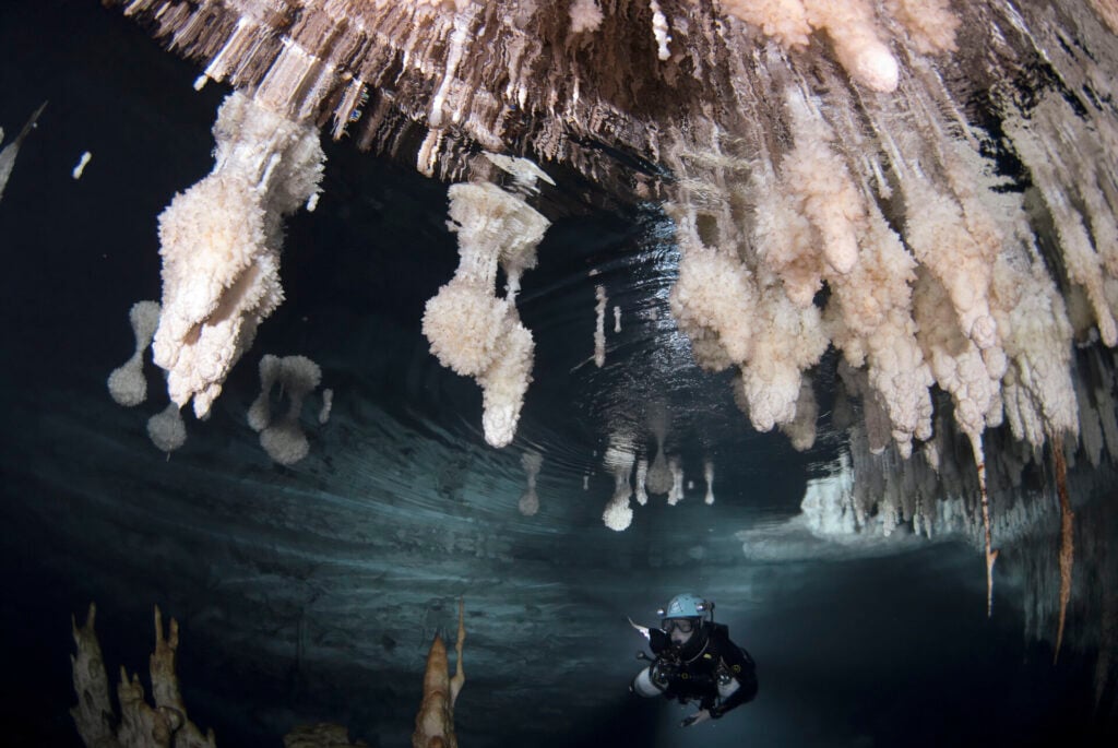 Overgrowths on speleothems in the cave. 