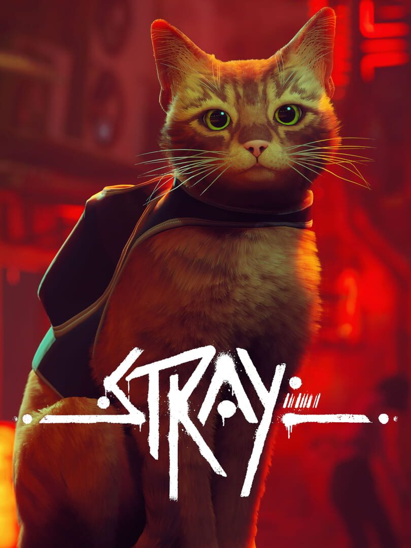 Stray Cat in a Cyberpunk City