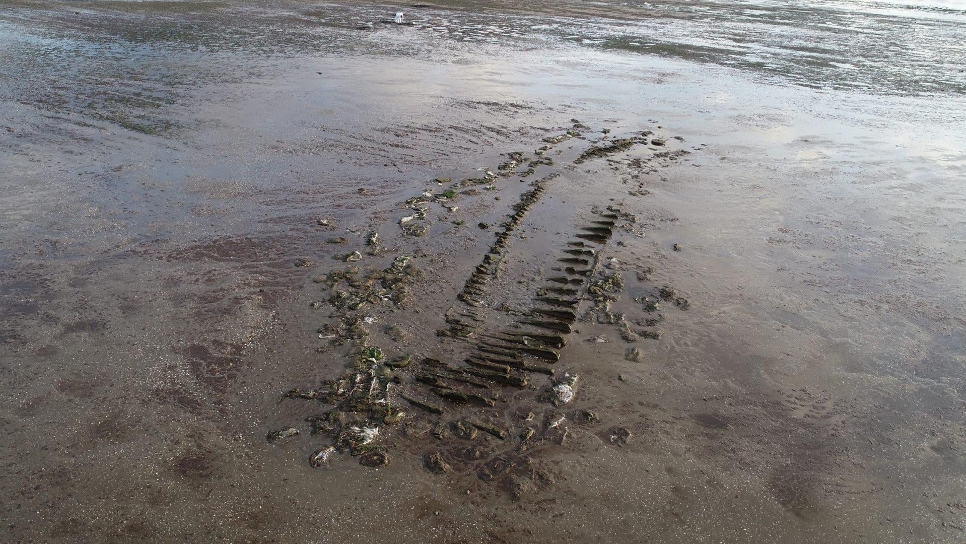 19th-Century Shipwreck Identified as Rhode Island Whaler Through Tree Ring Analysis