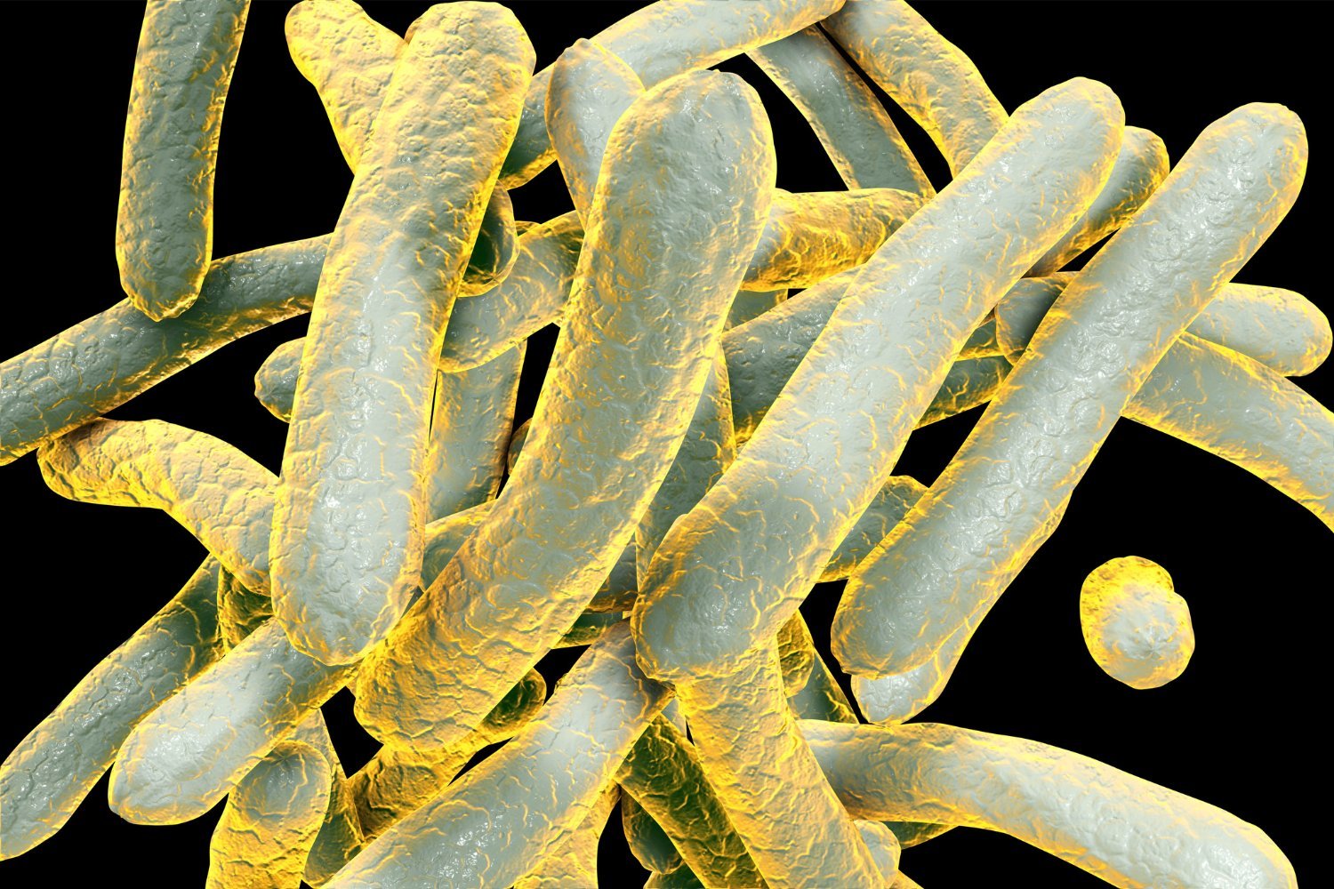 Tuberculosis Reclaims Top Spot as Leading Infectious Disease Killer