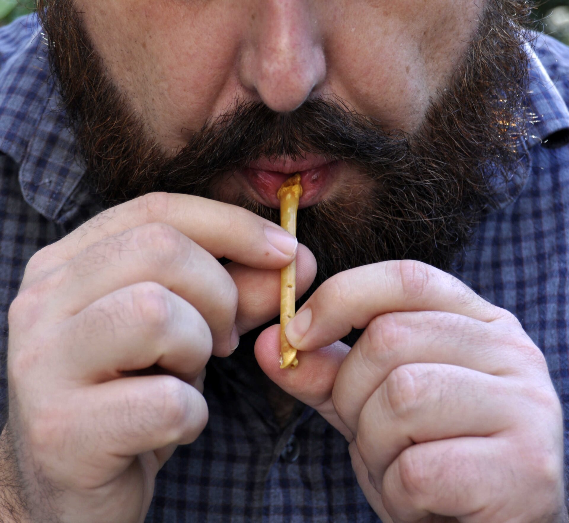 A researcher blowing one of the replica bones.