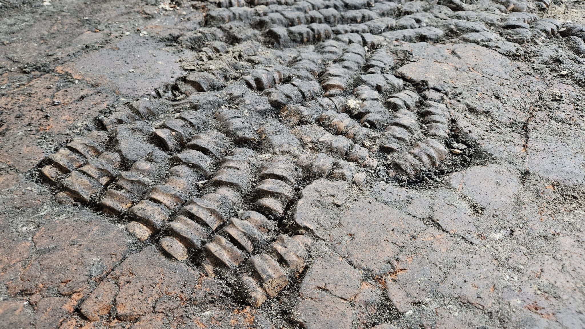 Bone Tiles Closeup