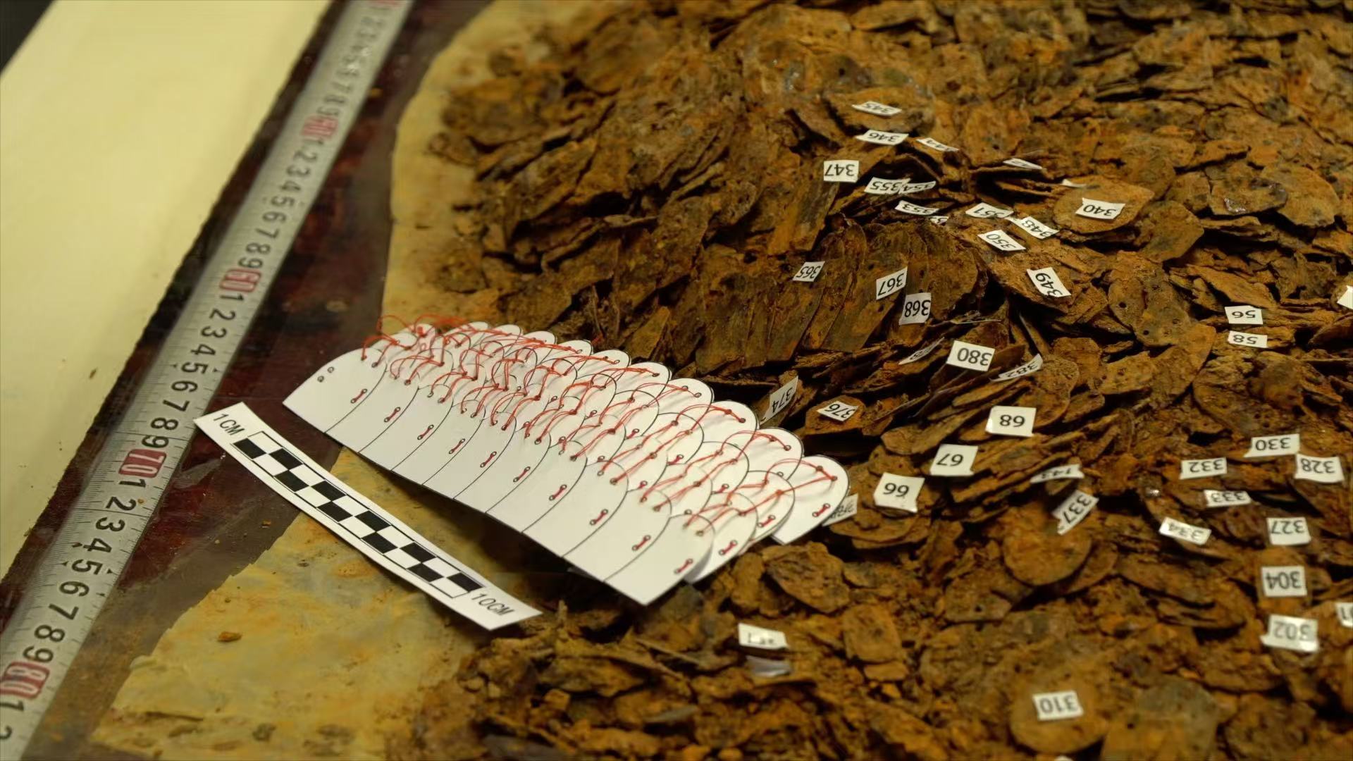 Armor scales from the tomb