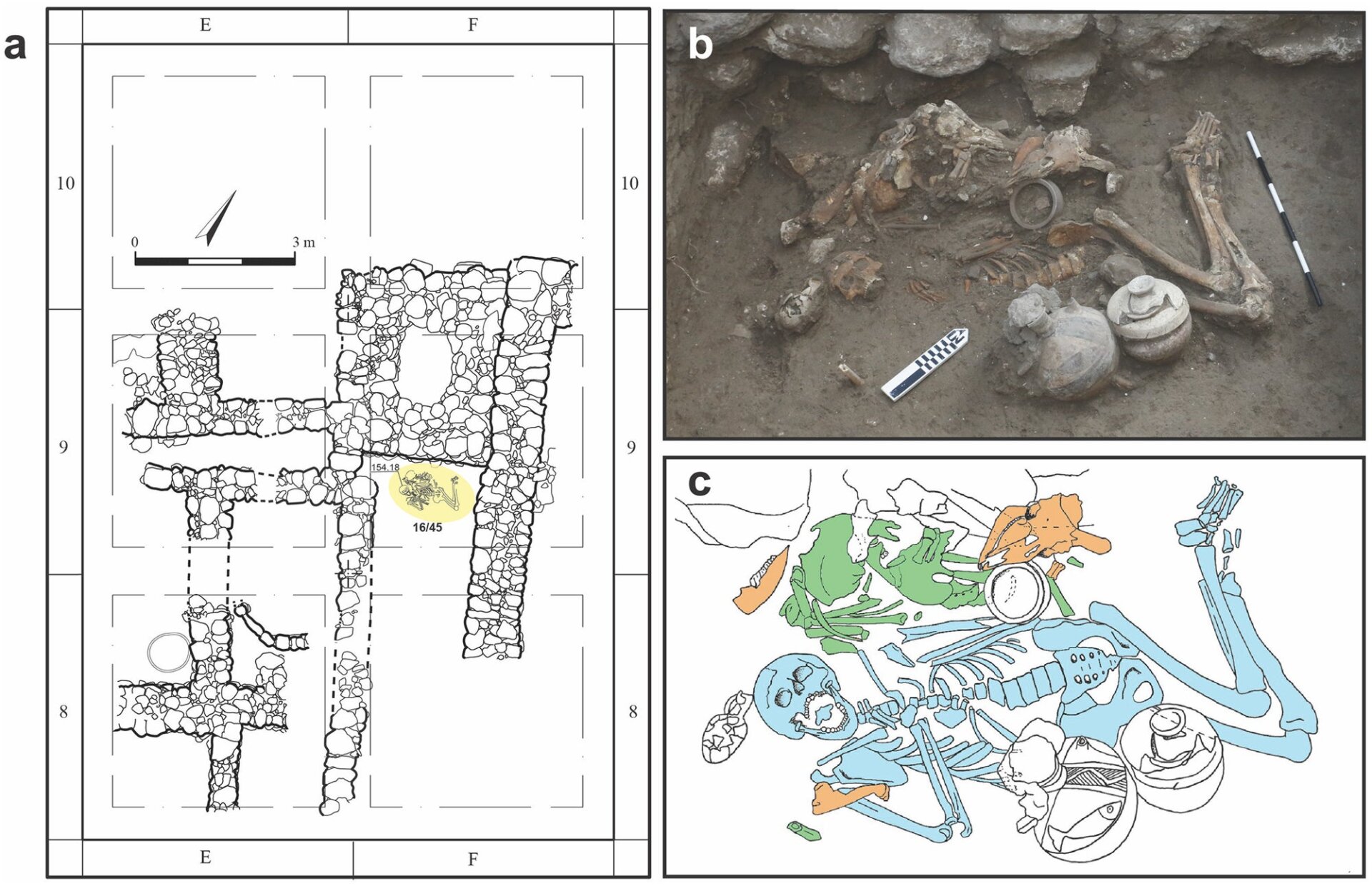 Location of the tomb and the skeletons. 