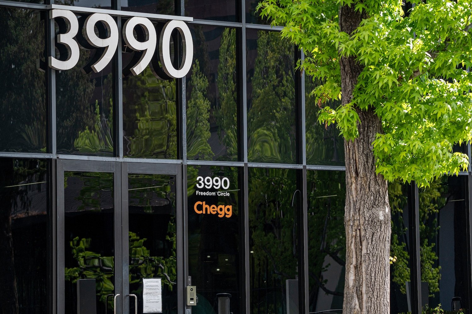 ChatGPT's Impact on Chegg: A Case Study in Disruption