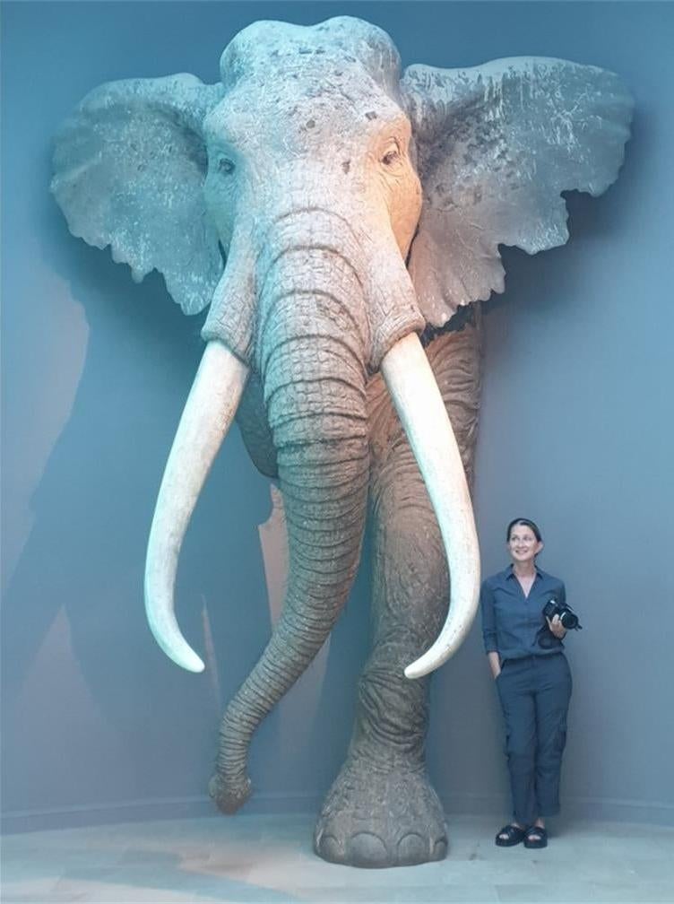 Study lead author Sabine Gaudzinski-Windheuser (5’3″) next to a reconstruction of an adult male P. antiquus.