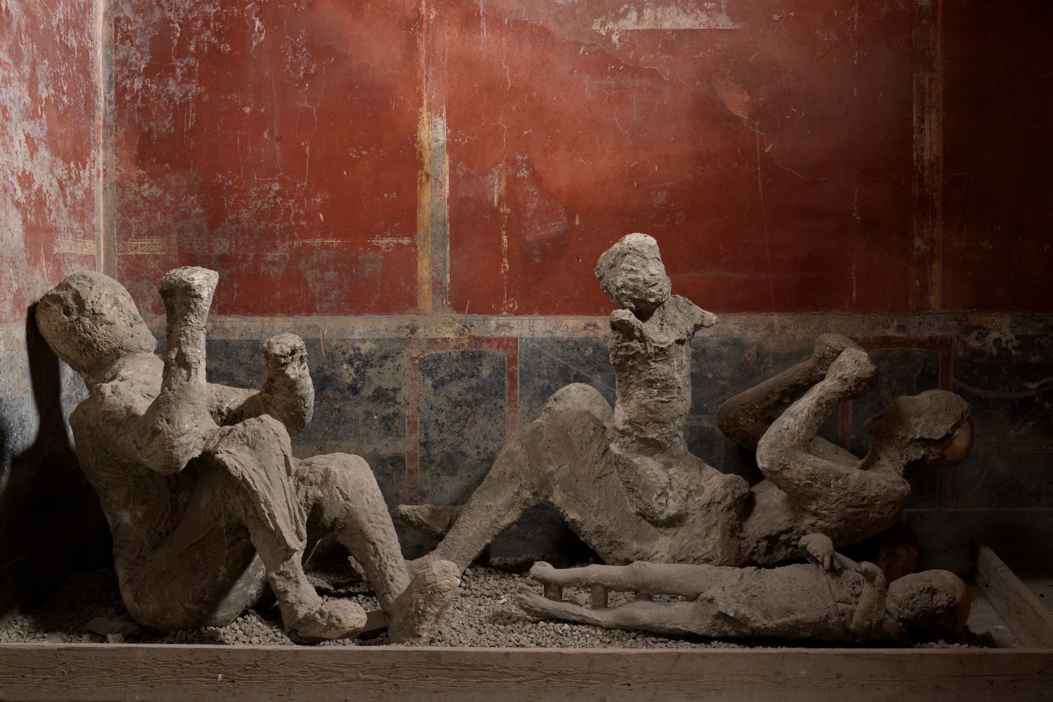 Pompeii's DNA Reveals Surprising Truths About Ancient City's Residents