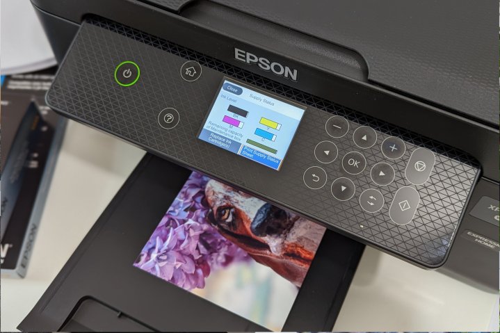 The Epson Expression Home XP-4200 is shown printing a 4x6 photo, with the ink levels displayed on the screen.