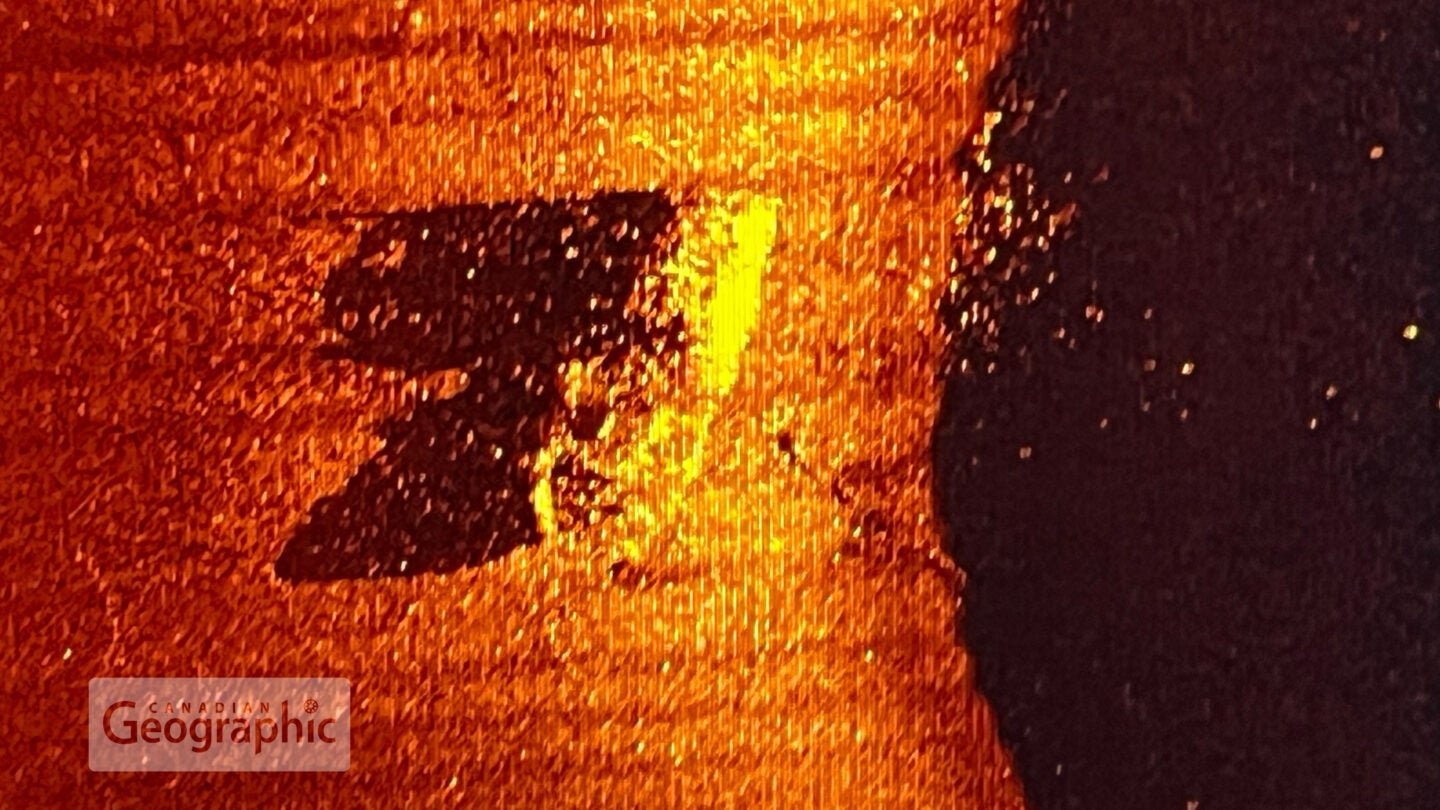 A side-scan sonar image of the Quest, upright on the seabed. This image confirms the ship's remarkably preserved state.