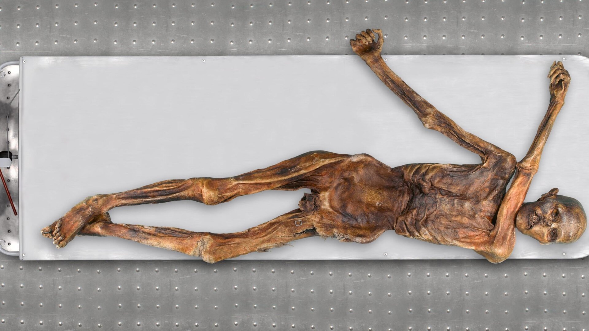 Ötzi the Iceman: New Genomic Analysis Reveals Surprising Ancestry