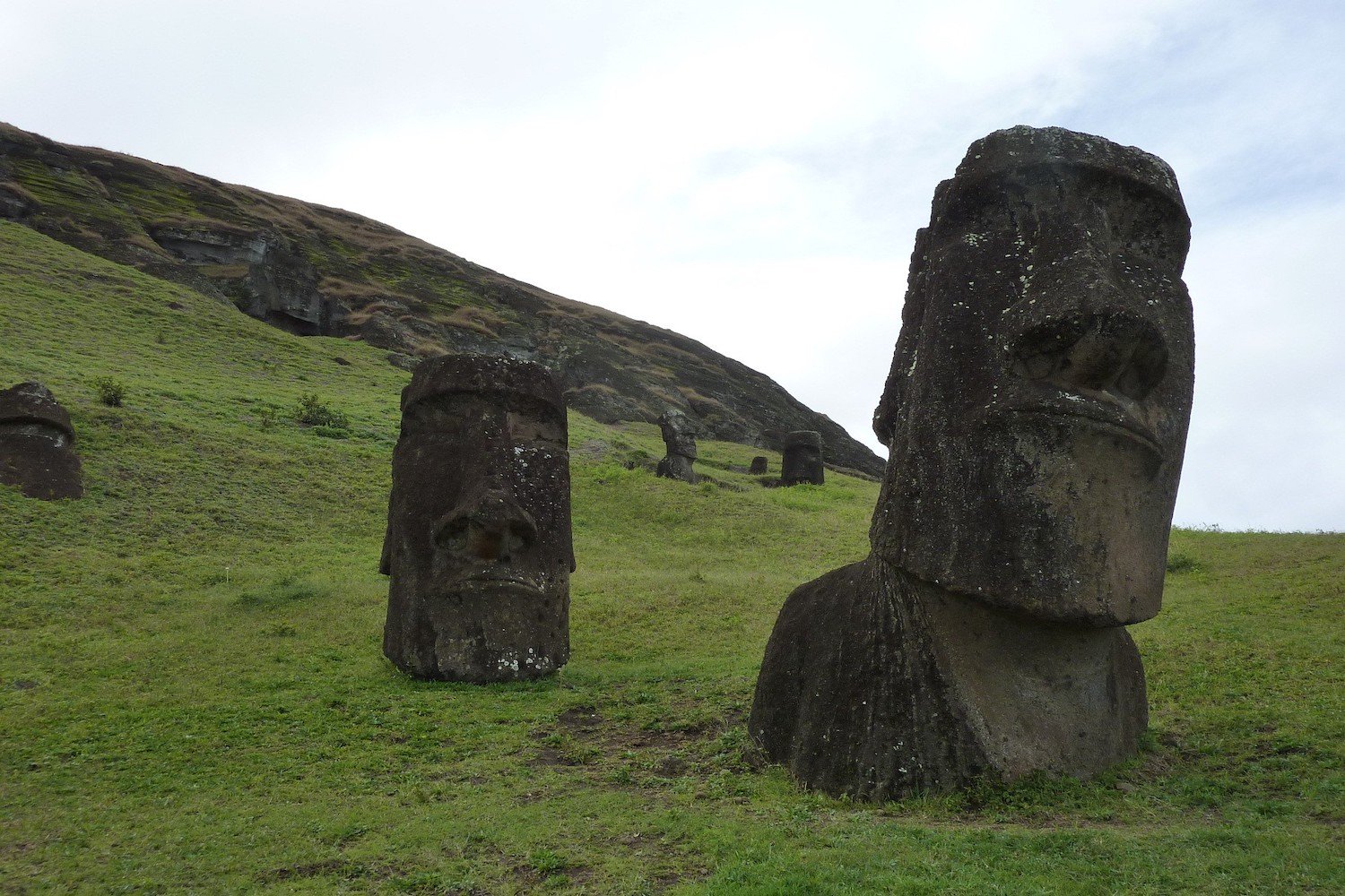 Rethinking the Rapa Nui Narrative: New DNA Analysis Challenges the "Ecological Suicide" Myth