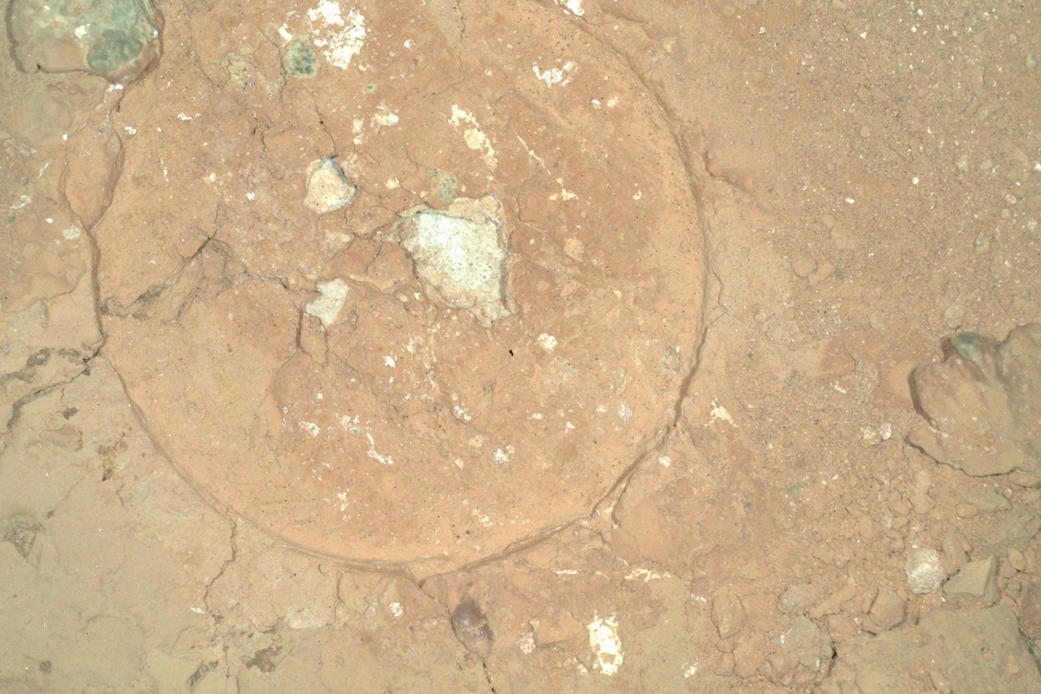 Perseverance Rover Discovers Intriguing Red Rock with Green Blobs on Mars