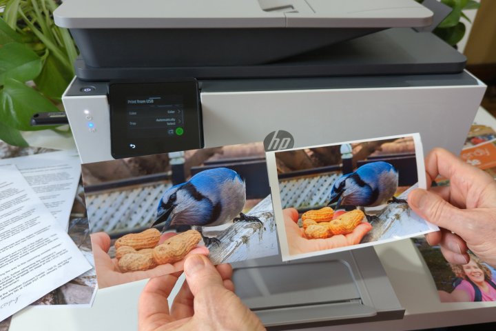 Borderless printing is strangely absent when printing from a thumb drive with the OfficeJet Pro 9125e