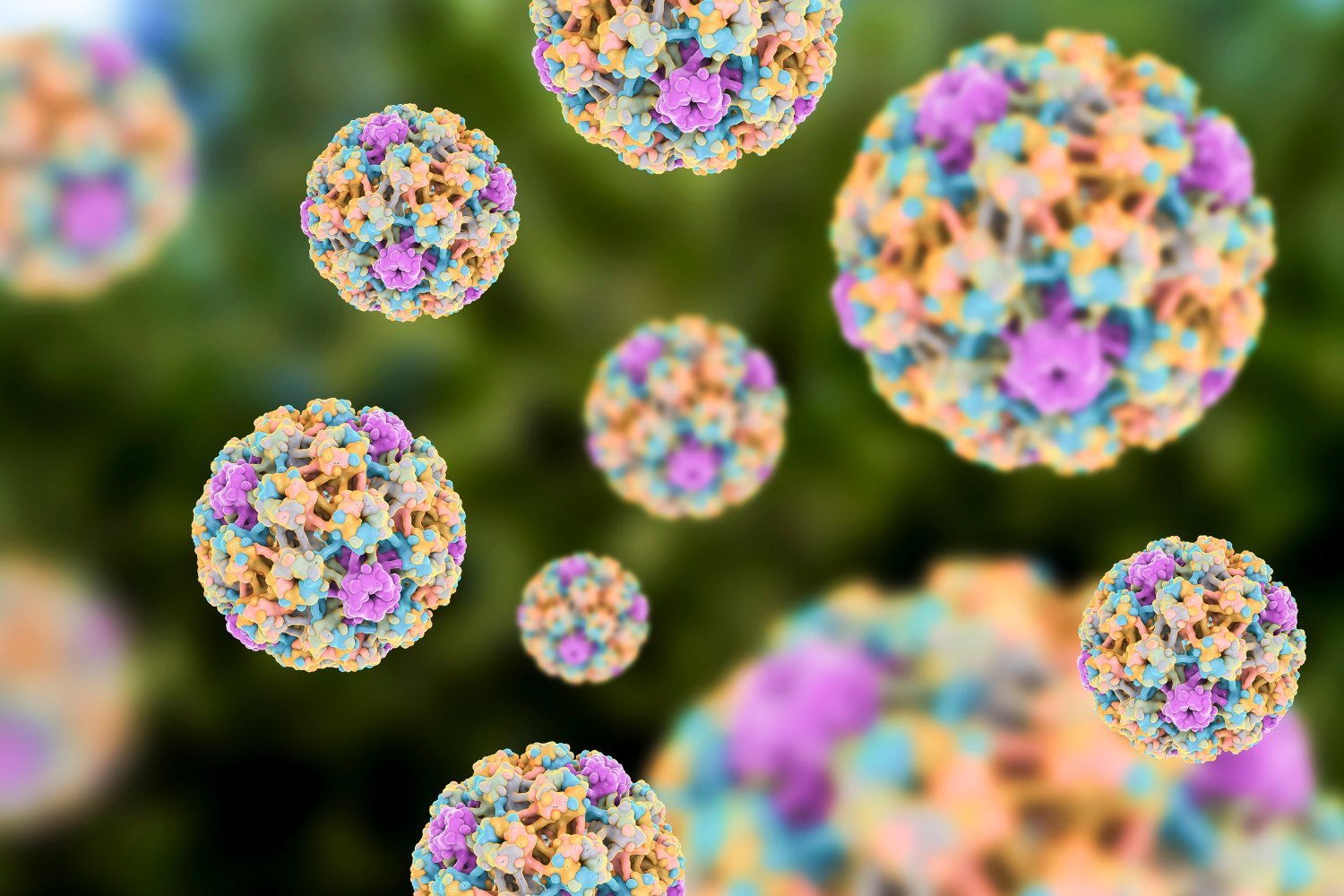 High-Risk HPV Infection Linked to Increased Sperm Death in Men