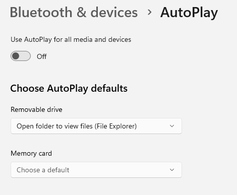 Windows autoplay