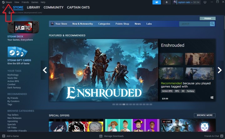 The Steam homepage.