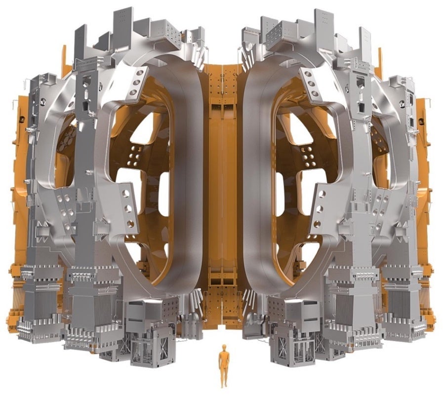 An illustration of a human in front of ITER’s toroidal field coils around the tokamak vacuum vessel.