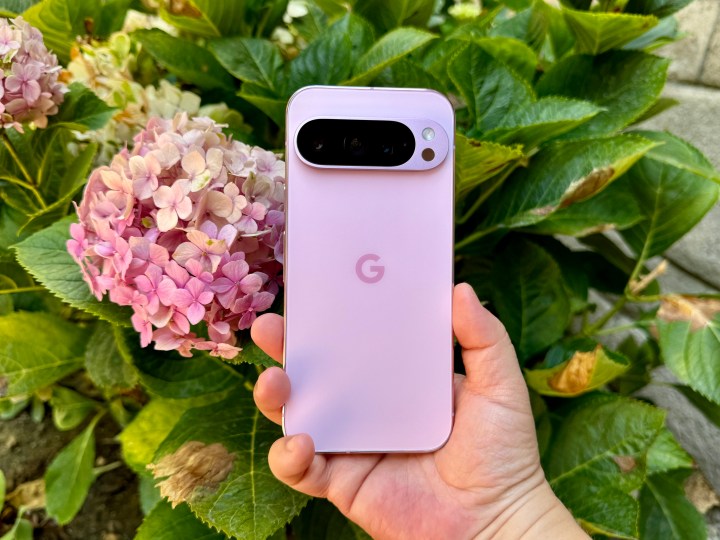 Pixel 9 Pro in Rose Quartz.