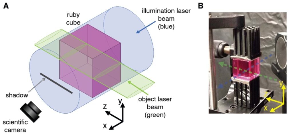 Credit: Abrahao et al.