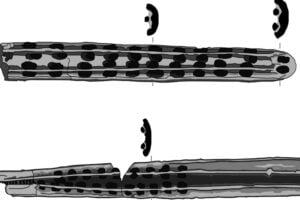 Image of Scandinavian boat frame fragments