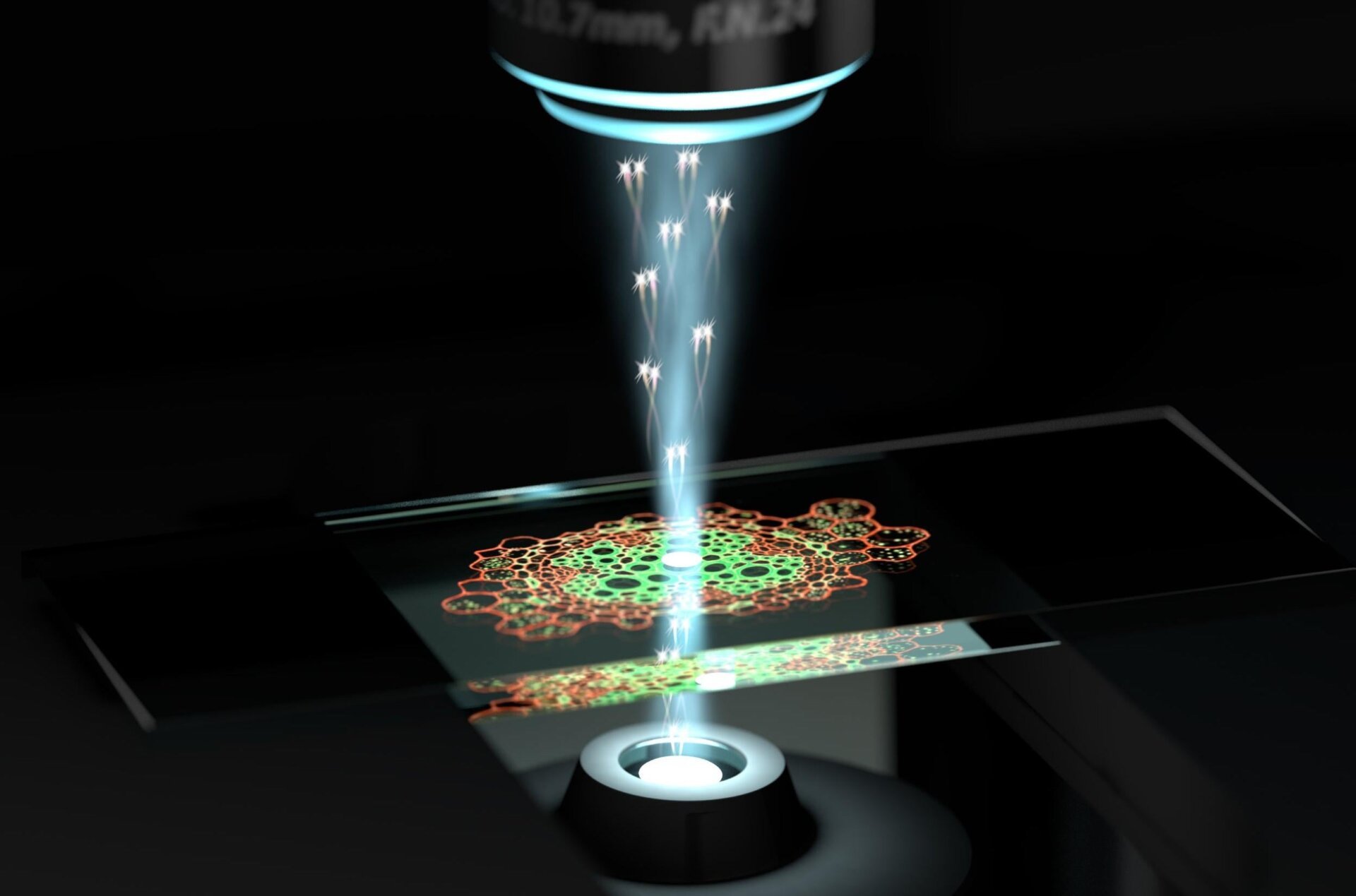 Quantum Microscopy Achieves Nanoscale Resolution Without Cell Damage