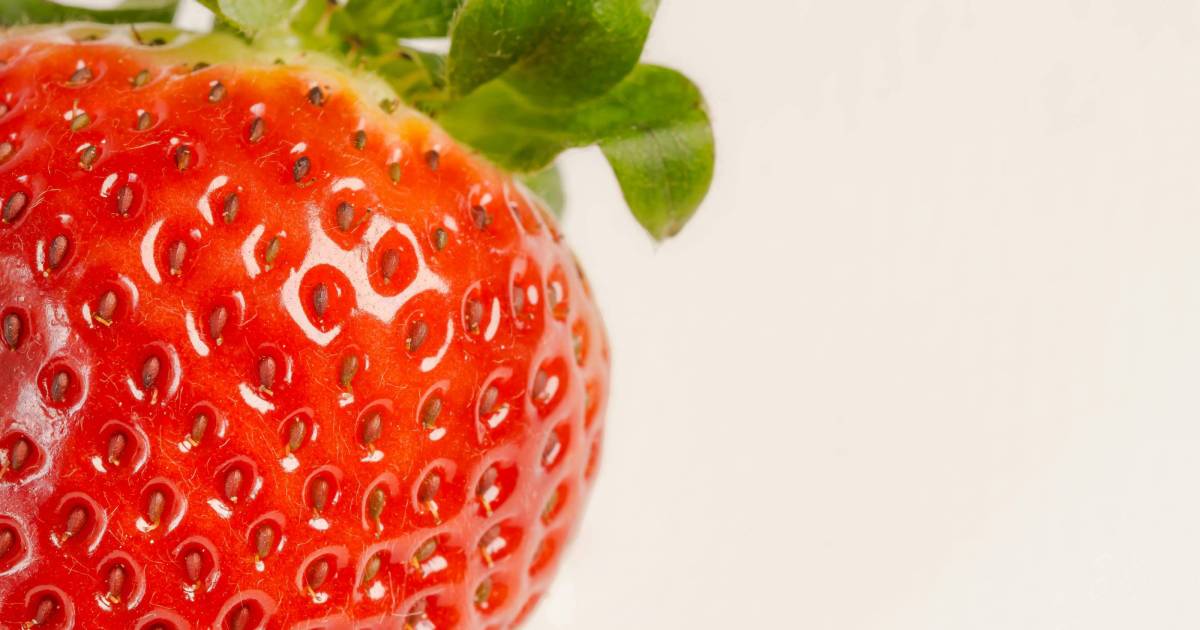 OpenAI's Project Strawberry: A Leap Towards Human-Level Reasoning in AI