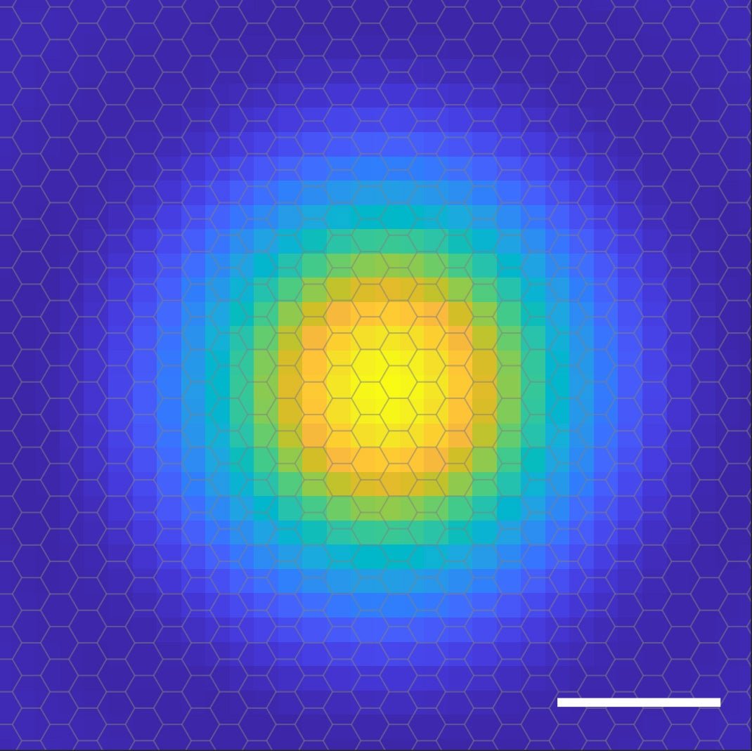 Imaging Excitons: Unveiling the Quantum World of Semiconductors