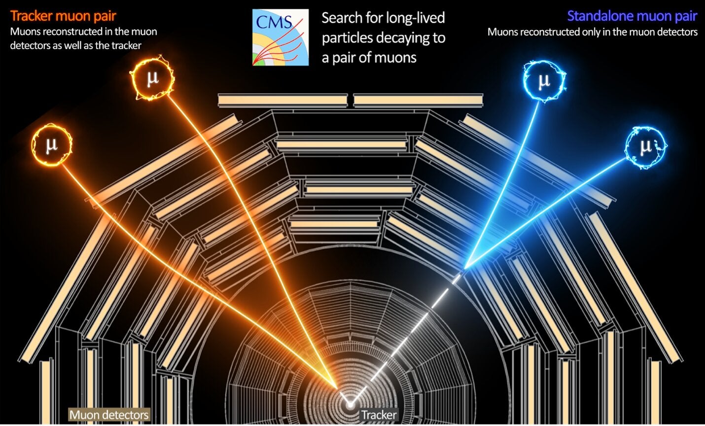 A graphic showing how muons’ signals can be traced back to the long-lived particle decay points. Graphic: CMS/CERN