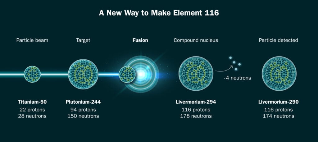 alt: A diagram illustrating the process of creating element 116 (livermorium) using a titanium-50 beam and a plutonium-244 target.