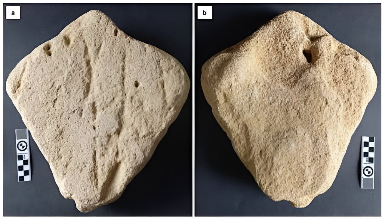 Could This Rock Be the Oldest Human Depiction of an Animal?