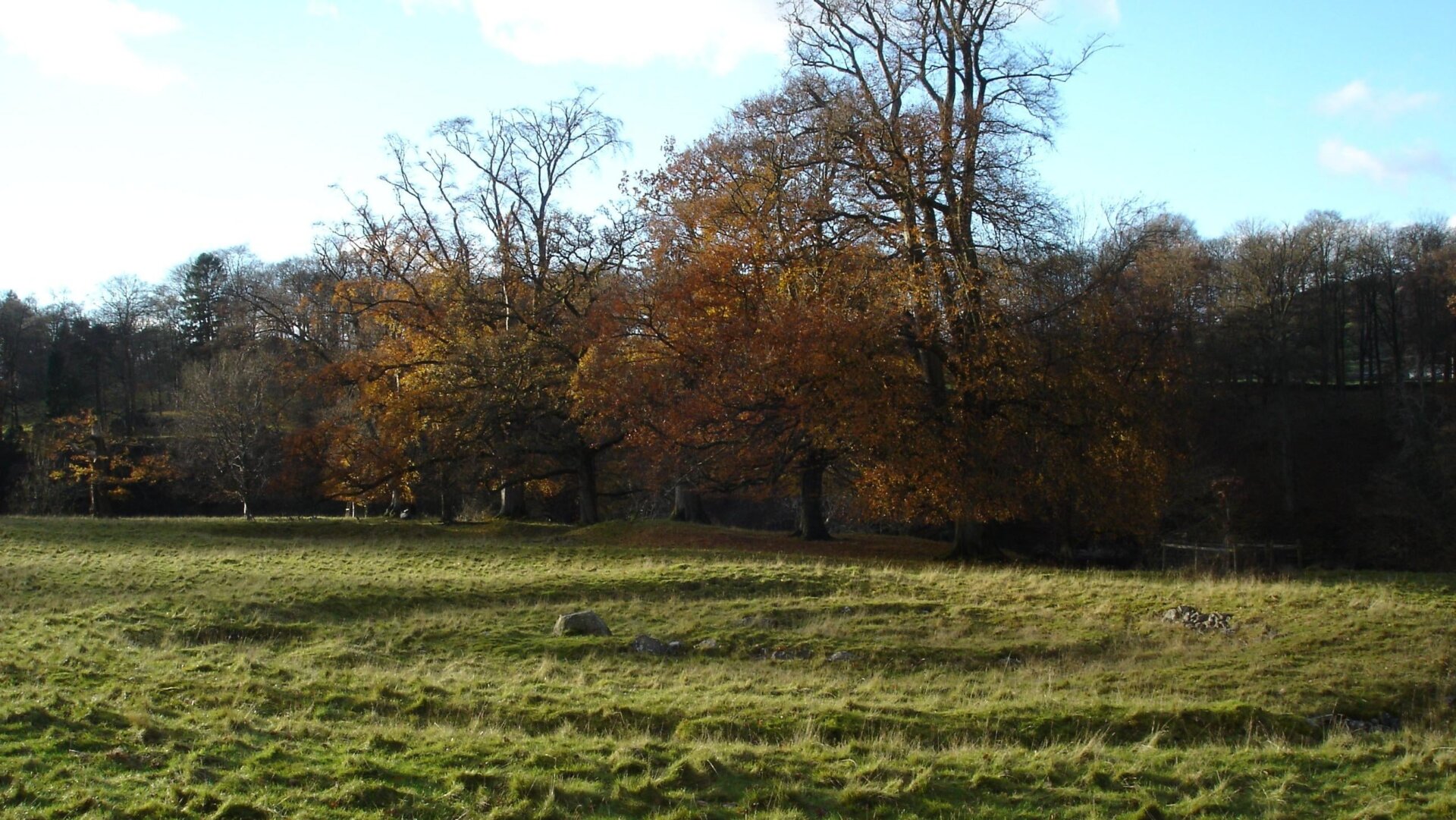 The Levens Park ring cairn, where one set of Bronze Age remains tested positive for Yersinia pestis.