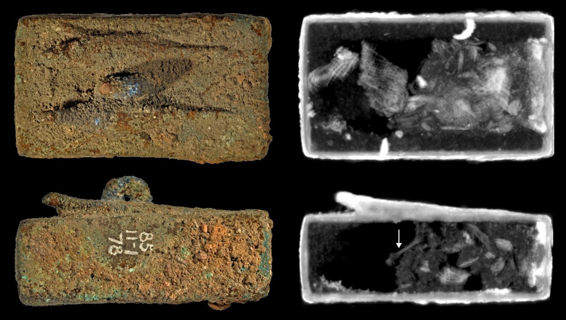 EA27584, decorated with two lizard figures and containing a bone (pointed out bottom right by arrow.)