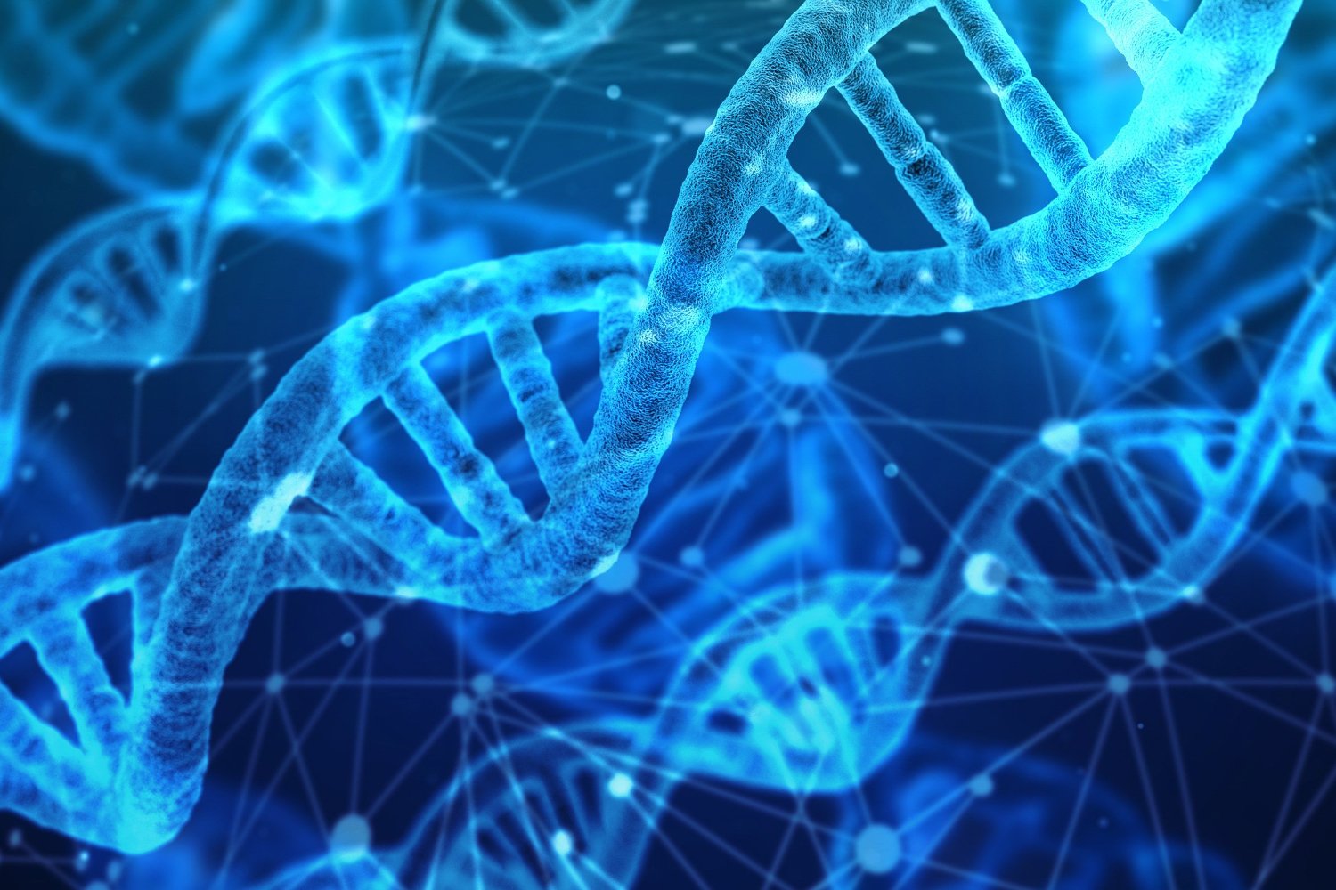 DNA Data Storage: A New Approach to Archiving Information