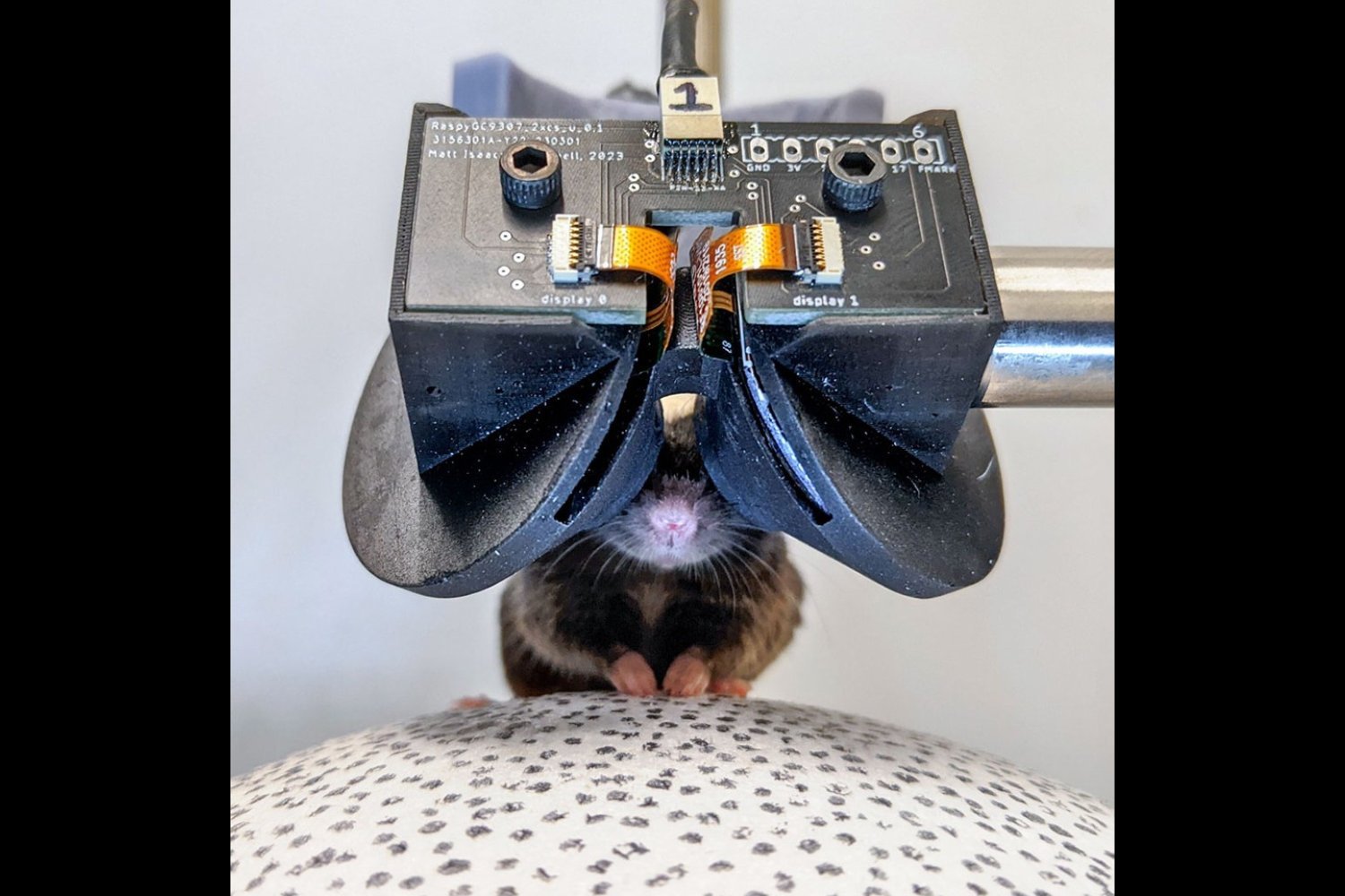 MouseGoggles: Immersive VR for Rodent Research