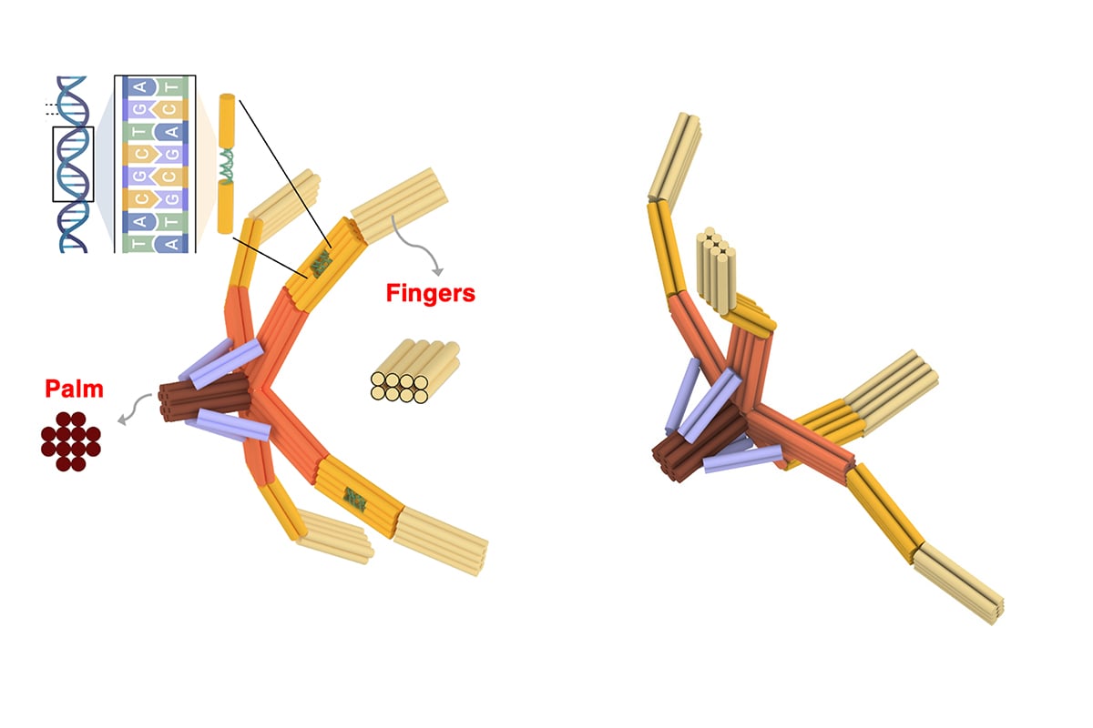 a NanoGripper hand and its components