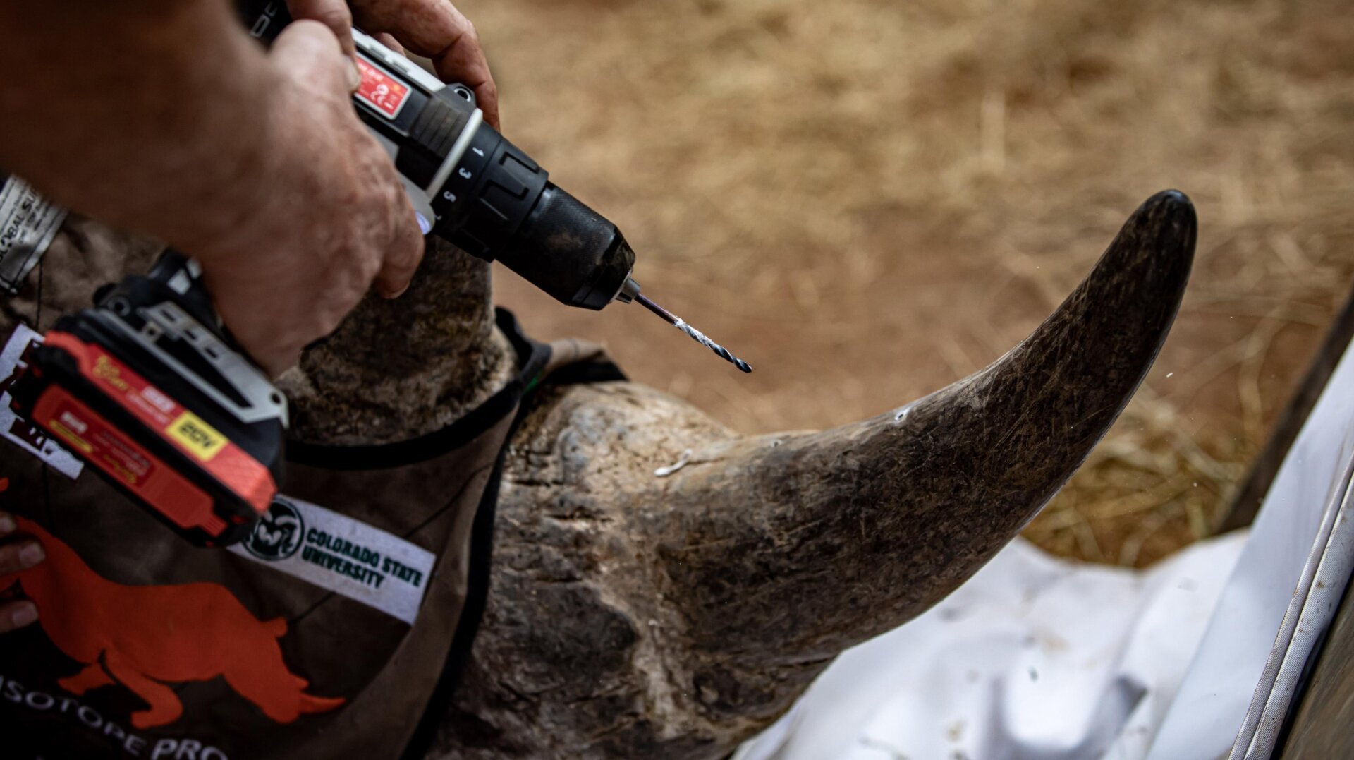 Combating Rhino Poaching in South Africa with Radioactive Isotopes