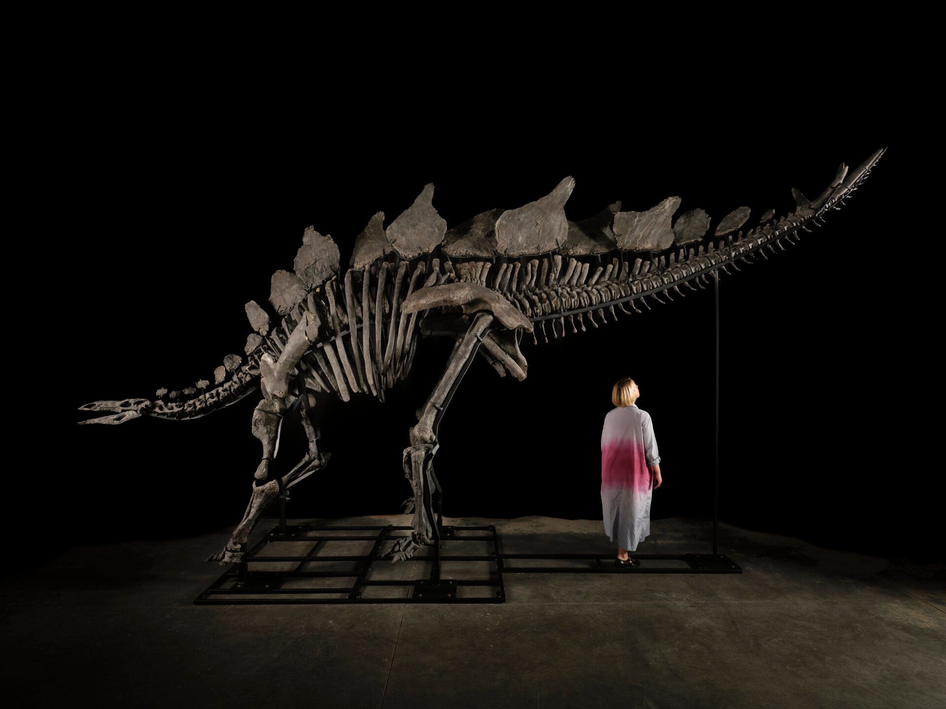 Billionaire Ken Griffin Acquires "Apex," the Most Expensive Fossil Ever Sold