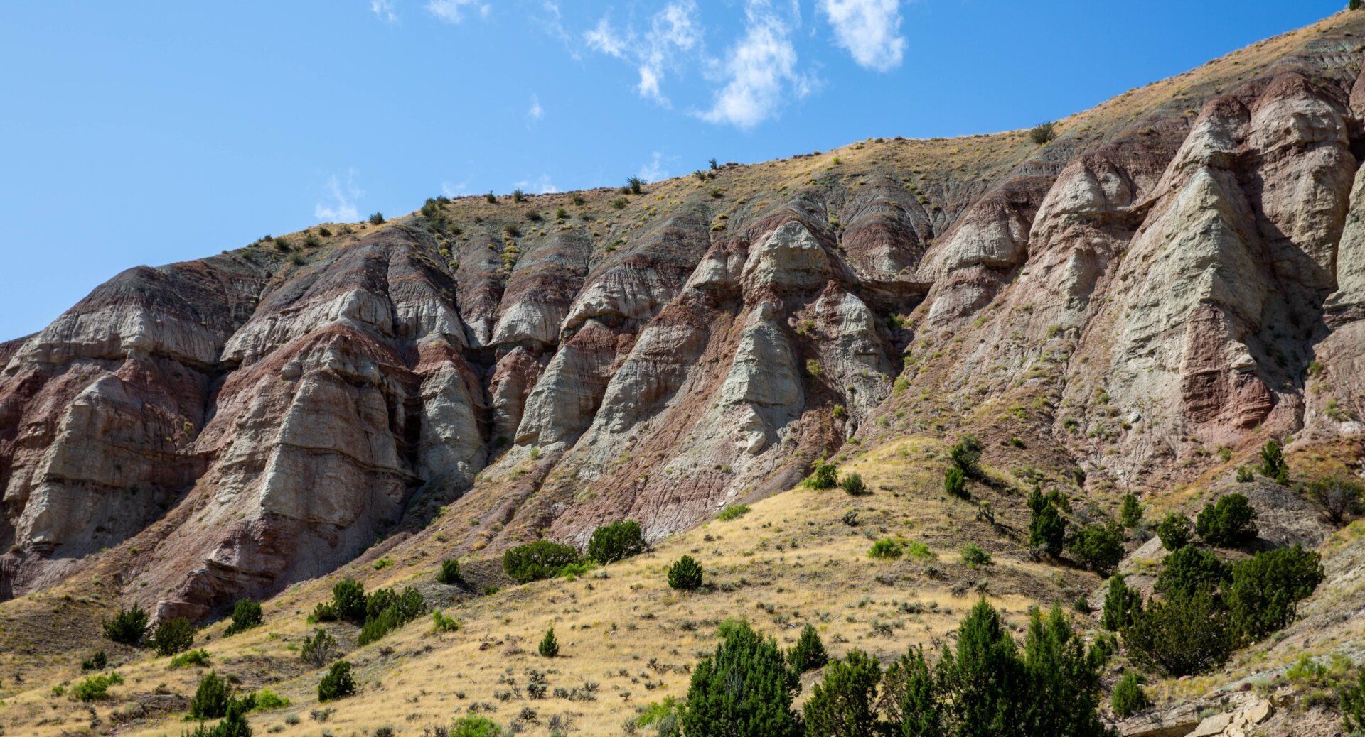 Unearthing America's Prehistoric Past: Top Fossil Destinations