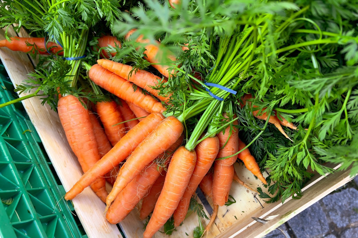 E. coli Outbreak Linked to Organic Carrots, Including Whole Foods Products