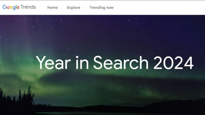 Google Year in Search 2024.