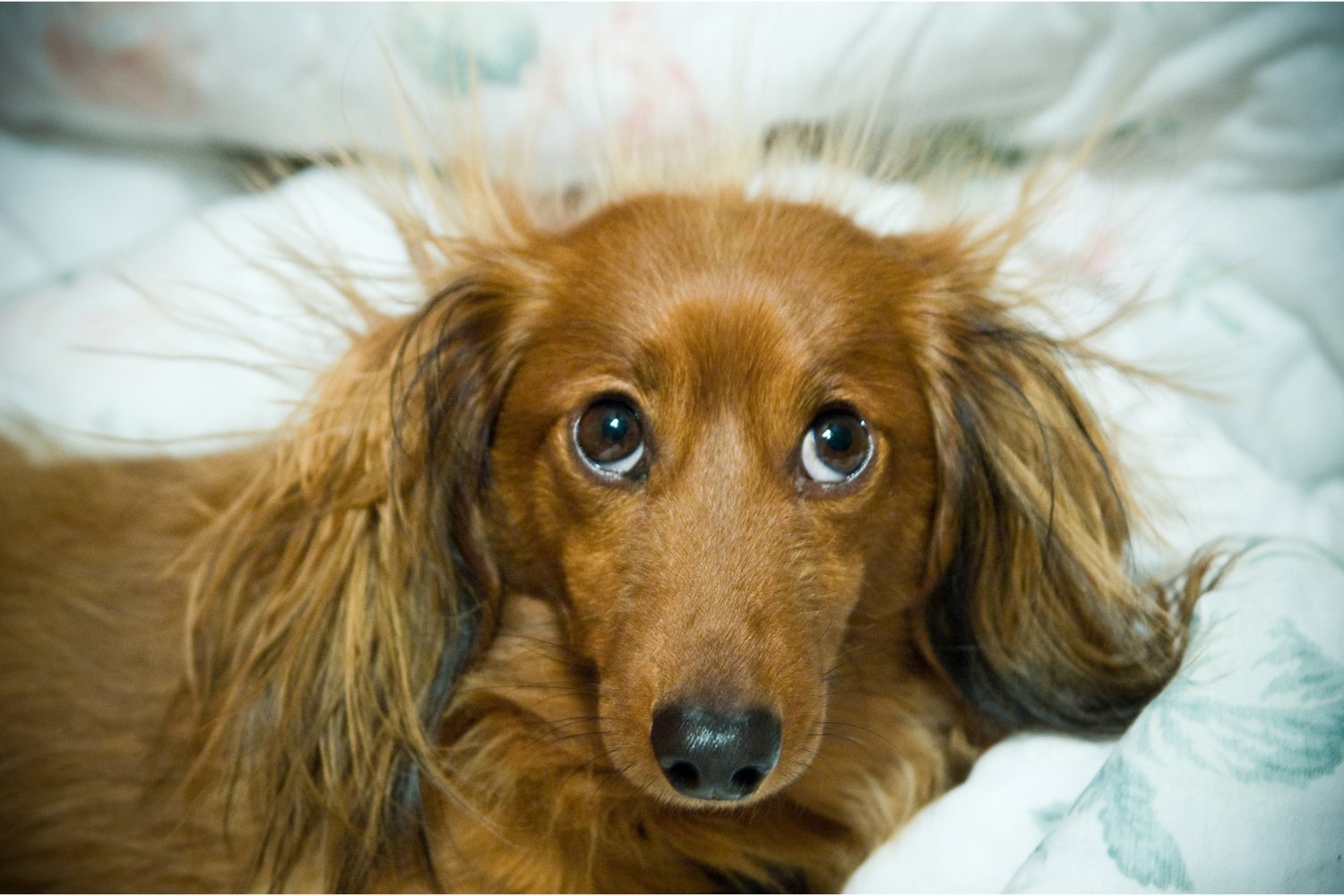 Unraveling the Mystery of Static Electricity: Why Rubbing Creates a Spark