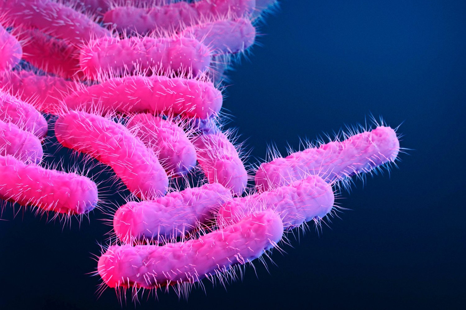 Extensively Drug-Resistant Shigella Superbug Found in Los Angeles