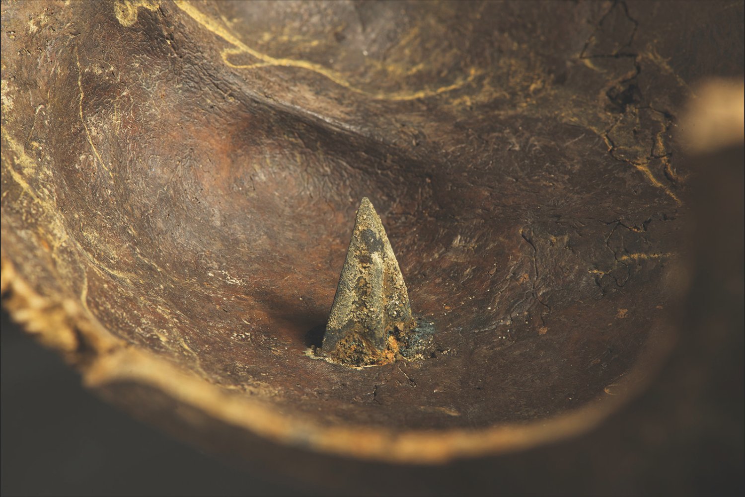 Ancient Tollense Valley Battlefield: Arrowheads Reveal International Conflict